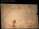ONICE ROSA BACKLIT CALL 0422 104 588 ABOUT THIS MATERIAL